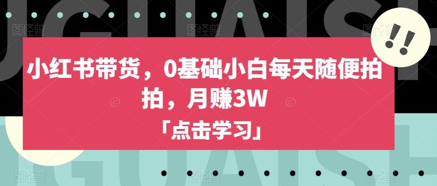 小红书带货，0基础小白每天随便拍拍，月赚3W【揭秘】-送财鼠