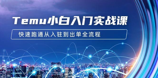 (9295期)Temu小白入门实战课：跨境拼多多电商培训 快速跑通从入驻到出单全流程-12节-送财鼠