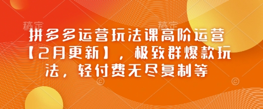 拼多多运营玩法课高阶运营【2月更新】，极致群爆款玩法，轻付费无尽复制等-送财鼠