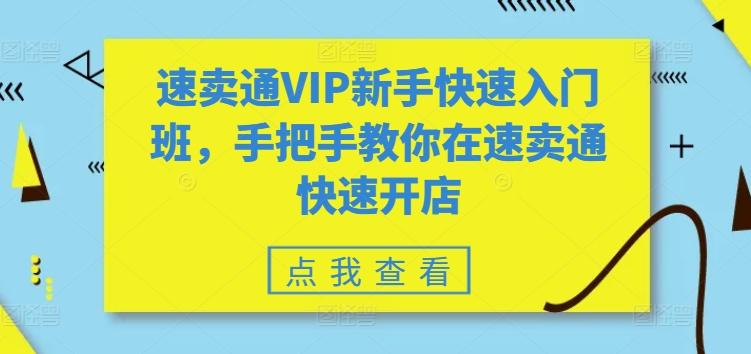 速卖通VIP新手快速入门班，手把手教你在速卖通快速开店-送财鼠