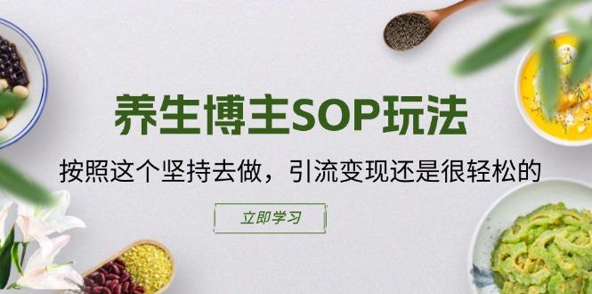 养生博主SOP玩法，按照这个坚持去做，引流变现还是很轻松的-送财鼠