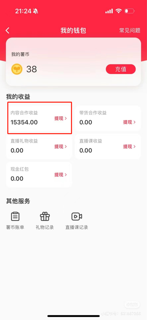 热门评论引爆小红书流量，作品制作简单，广告接到手软，月入过万不是梦-送财鼠