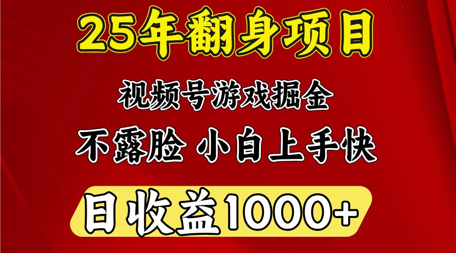 一天收益1000+ 25年开年落地好项目-送财鼠