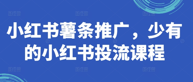 小红书薯条推广，少有的小红书投流课程-送财鼠
