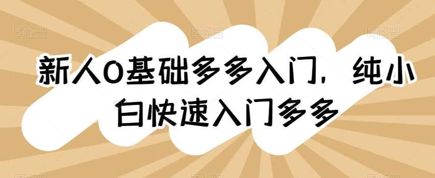 新人0基础多多入门，​纯小白快速入门多多-送财鼠