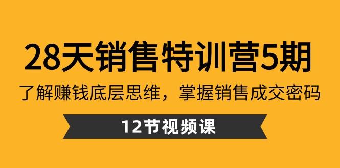 28天销售特训营5期：了解赚钱底层思维，掌握销售成交密码（12节课）-送财鼠