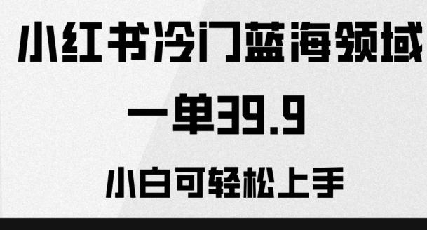 小红书冷门蓝海领域，一单39.9，小白可轻松上手-送财鼠