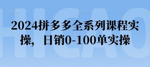 2024拼多多全系列课程实操，日销0-100单实操【必看】-送财鼠