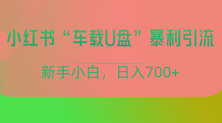 小红书“车载U盘”项目，暴利引流，新手小白轻松日入700+-送财鼠