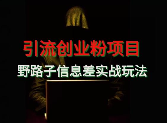 【引流创业粉】野路子信息差玩法实战教学-送财鼠