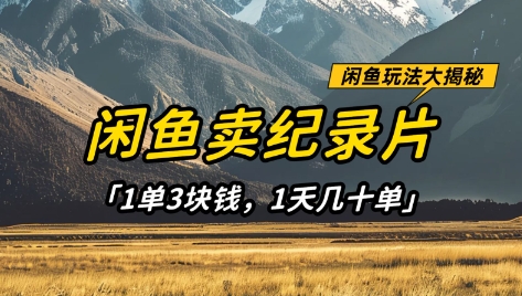 闲鱼卖纪录片1单3块钱，1天几十单，项目稳定有潜力-送财鼠