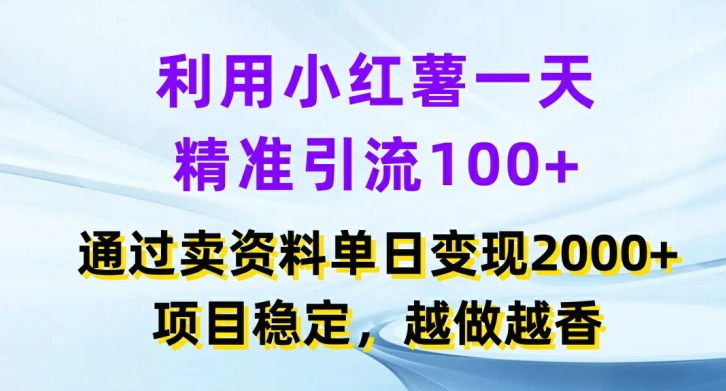 利用小红书一天精准引流100+，通过卖项目单日变现2k+，项目稳定，越做越香【揭秘】-送财鼠
