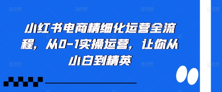 小红书电商精细化运营全流程，从0-1实操运营，让你从小白到精英-送财鼠