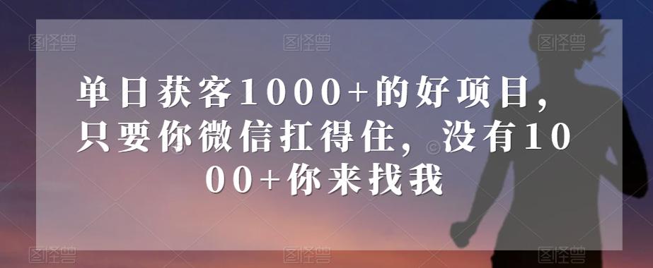 单日获客1000+的好项目，只要你微信扛得住，没有1000+你来找我【揭秘】-送财鼠