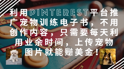 利用Pinterest平台推广宠物训练电子书，不用创作内容，只需要每天利用业余时间，上传宠物图片就能挣美金!-送财鼠