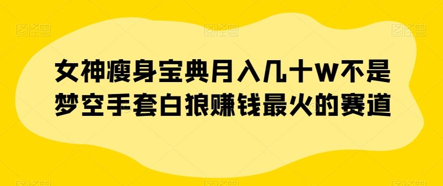 女神瘦身宝典月入几十W不是梦空手套白狼赚钱最火的赛道【揭秘】-送财鼠
