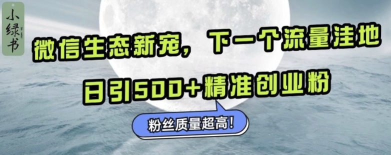 微信生态新宠小绿书：下一个流量洼地，日引500+精准创业粉，粉丝质量超高-送财鼠
