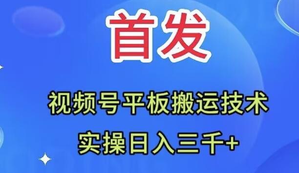 全网首发：视频号平板搬运技术，实操日入三千＋-送财鼠