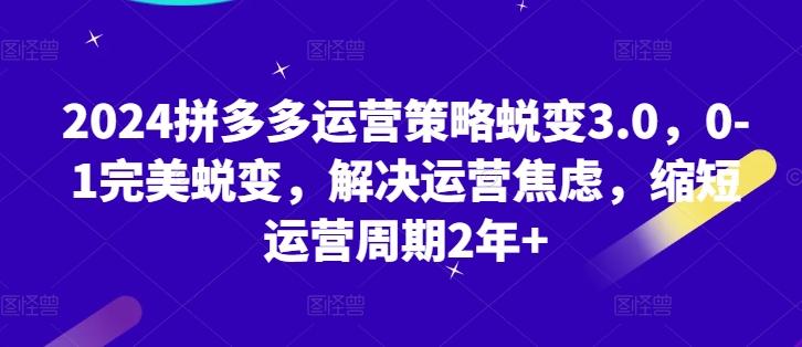 2024拼多多运营策略蜕变3.0，0-1完美蜕变，解决运营焦虑，缩短运营周期2年+-送财鼠