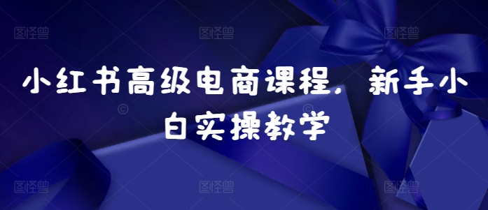 小红书高级电商课程，新手小白实操教学-送财鼠