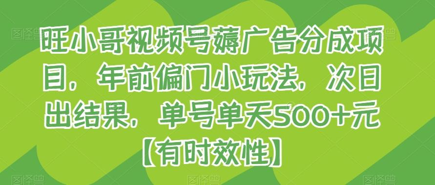 旺小哥视频号薅广告分成项目，年前偏门小玩法，次日出结果，单号单天500+元【有时效性】-送财鼠