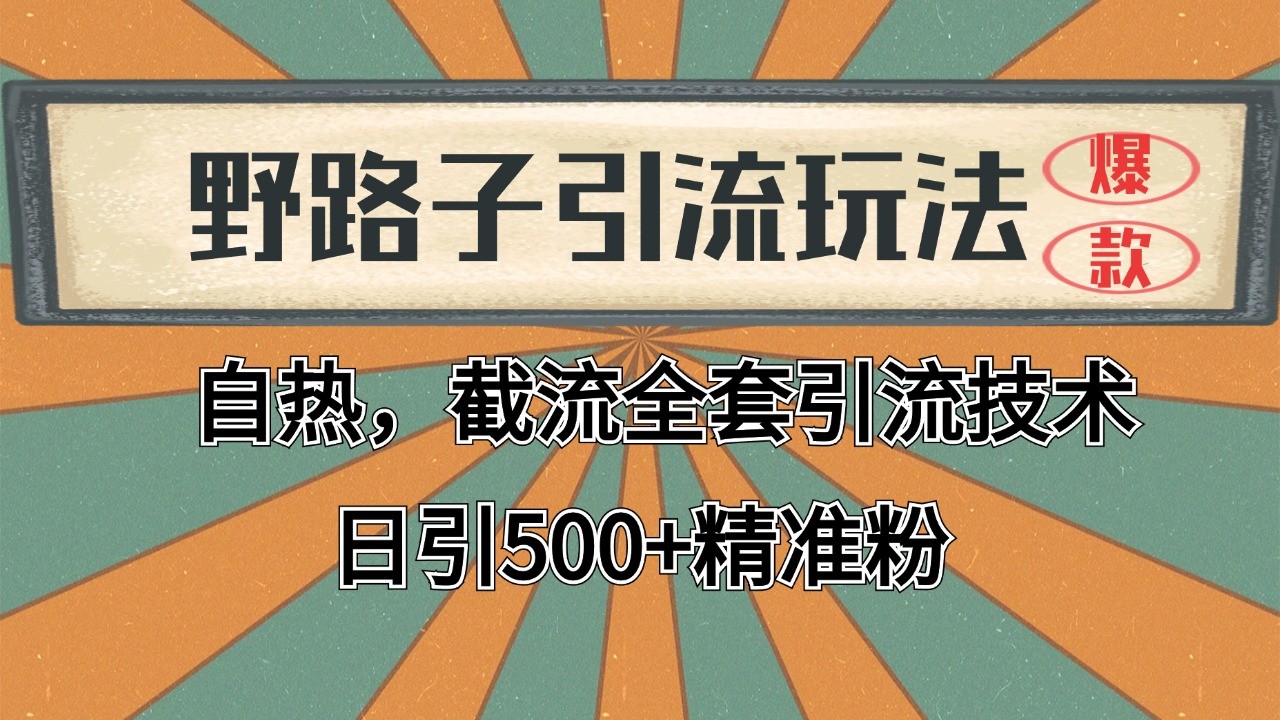 2024首发野路子引流玩法截流自热全平台打法，全自动引流【日引2000+精准客户】-送财鼠