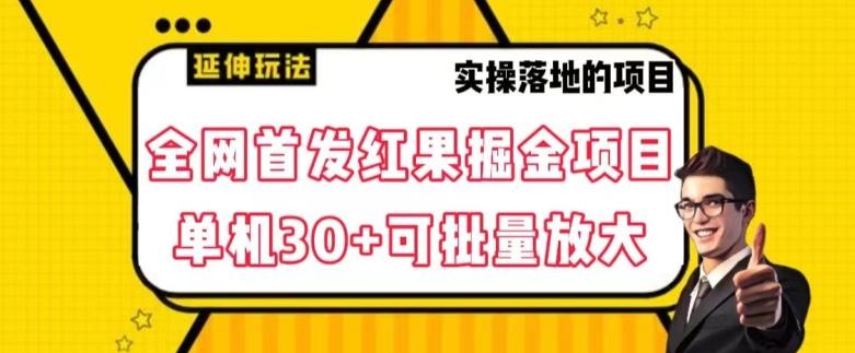 全网首发红果免费短剧掘金项目，单机30+可批量放大【揭秘】-送财鼠