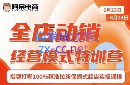 阿呆电商·全店动销经营模式特训营(线下录音+思维导图)-送财鼠