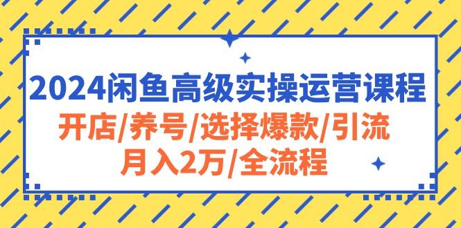 2024闲鱼高级实操运营课程：开店/养号/选择爆款/引流/月入2万/全流程-送财鼠