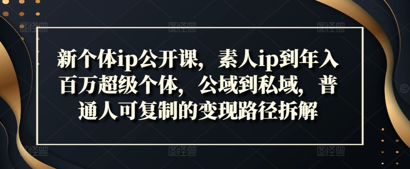 新个体ip公开课，素人ip到年入百万超级个体，公域到私域，普通人可复制的变现路径拆解-送财鼠