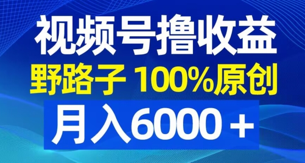 视频号野路子撸收益，100%原创，条条爆款，月入6000＋【揭秘】-送财鼠