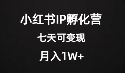 价值2000+的小红书IP孵化营项目，超级大蓝海，七天即可开始变现，稳定月入1W+-送财鼠
