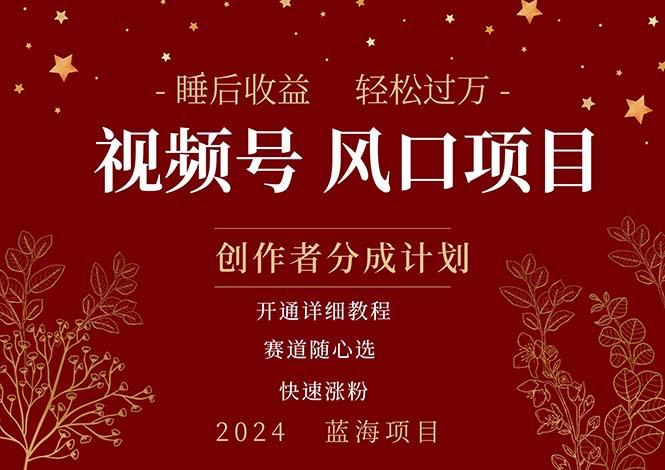 拥有睡眠收益的微信视频号大风口项目，轻松月入过万+，多赛道选择，可…-送财鼠