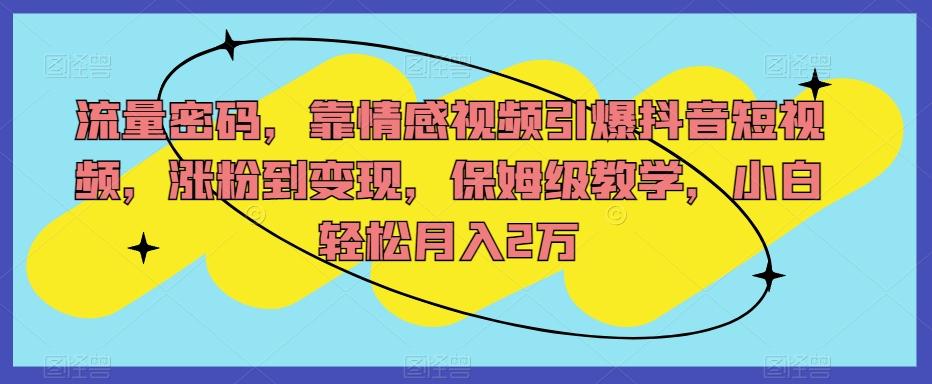 流量密码，靠情感视频引爆抖音短视频，涨粉到变现，保姆级教学，小白轻松月入2万【揭秘】-送财鼠