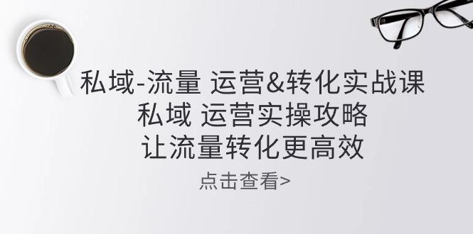 私域-流量 运营&转化实操课：私域 运营实操攻略 让流量转化更高效-送财鼠