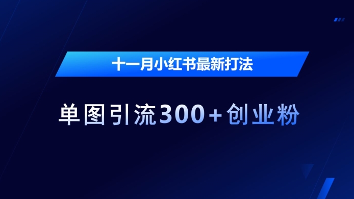十一月小红书最新打法，单图引流300+创业粉【揭秘】-送财鼠