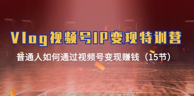 Vlog 视频号IP变现特训营，普通人如何通过视频号变现赚钱(15节-送财鼠