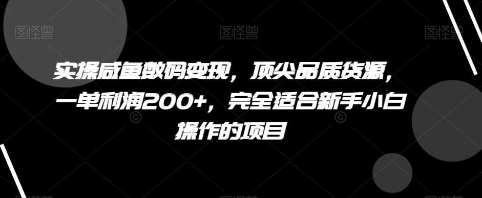 实操咸鱼数码变现，顶尖品质货源，一单利润200+，完全适合新手小白操作的项目【揭秘】-送财鼠