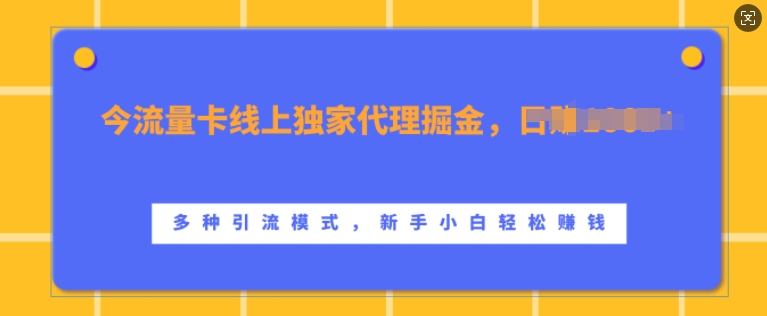 流量卡线上独家代理掘金，日入1k+ ，多种引流模式，新手小白轻松上手【揭秘】-送财鼠