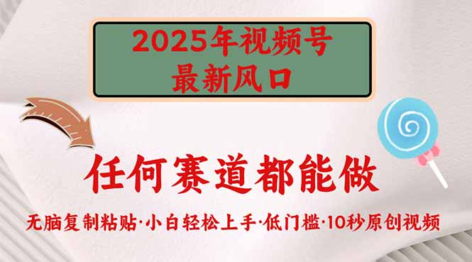 2025年视频号新风口，低门槛只需要无脑执行-送财鼠
