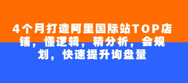 4个月打造阿里国际站TOP店铺，懂逻辑，精分析，会规划，快速提升询盘量-送财鼠