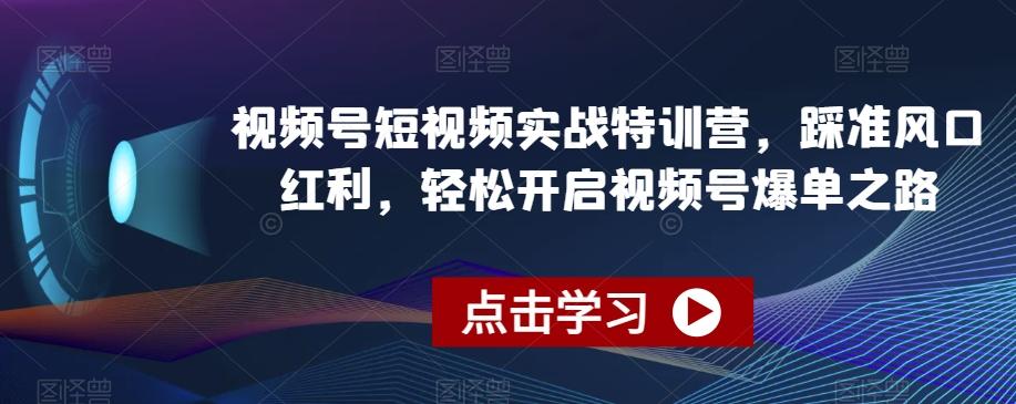 视频号短视频实战特训营，踩准风口红利，轻松开启视频号爆单之路-送财鼠