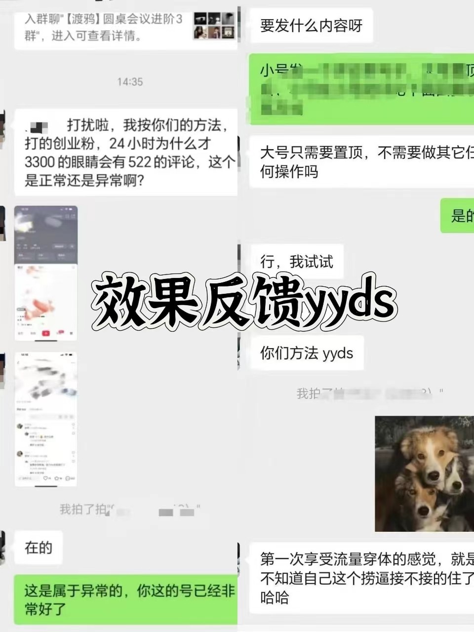 图片[3]-抖音小红书视频号全平台引流打法，全自动引流日引2000+精准客户-送财鼠