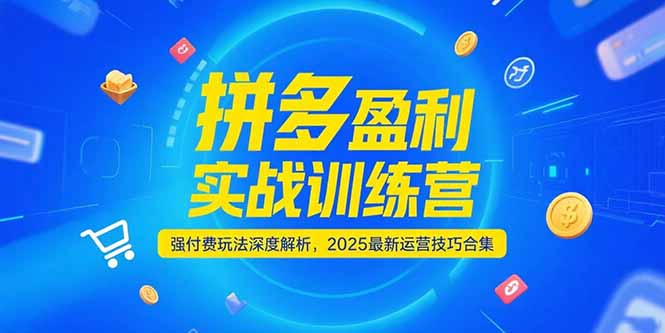 拼多多盈利实战训练营，强付费玩法深度解析，2025运营技巧合集-更新6月-送财鼠
