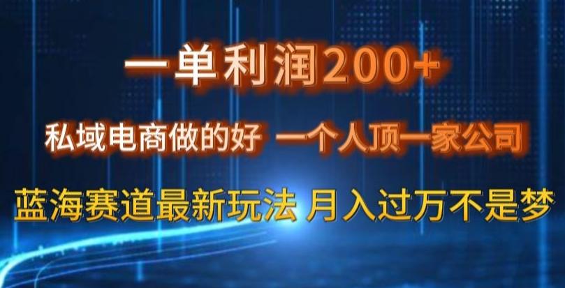 一单利润200私域电商做的好，一个人顶一家公司蓝海赛道最新玩法【揭秘】-送财鼠