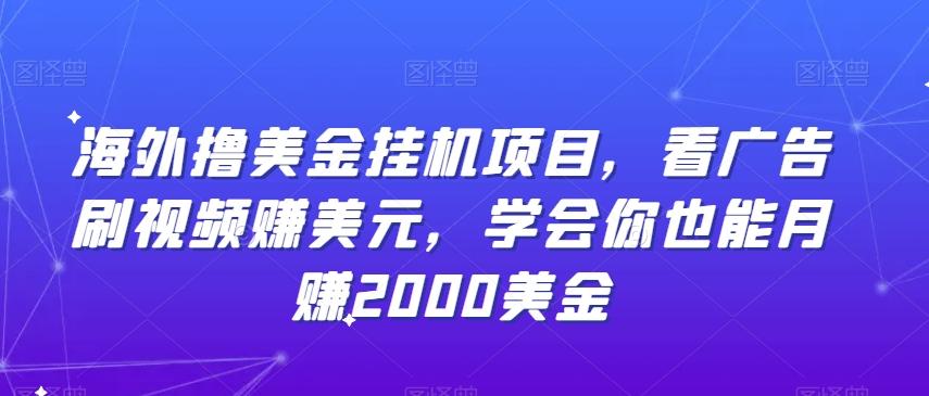 海外撸美金挂机项目，看广告刷视频赚美元，学会你也能月赚2000美金-送财鼠