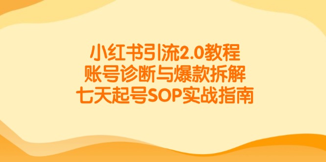 小红书引流2.0教程，账号诊断与爆款拆解，七天起号SOP实战指南-送财鼠
