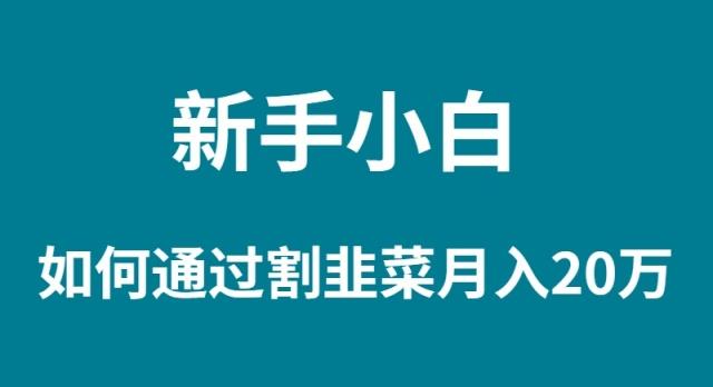 (9308期)新手小白如何通过割韭菜月入 20W-送财鼠