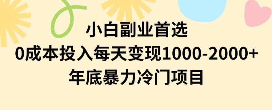 小白副业首选，0成本投入，每天变现1000-2000年底暴力冷门项目【揭秘】-送财鼠