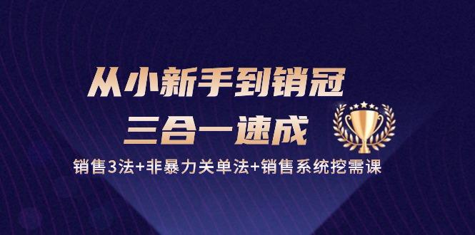 从小新手到销冠 三合一速成：销售3法+非暴力关单法+销售系统挖需课 (27节-送财鼠